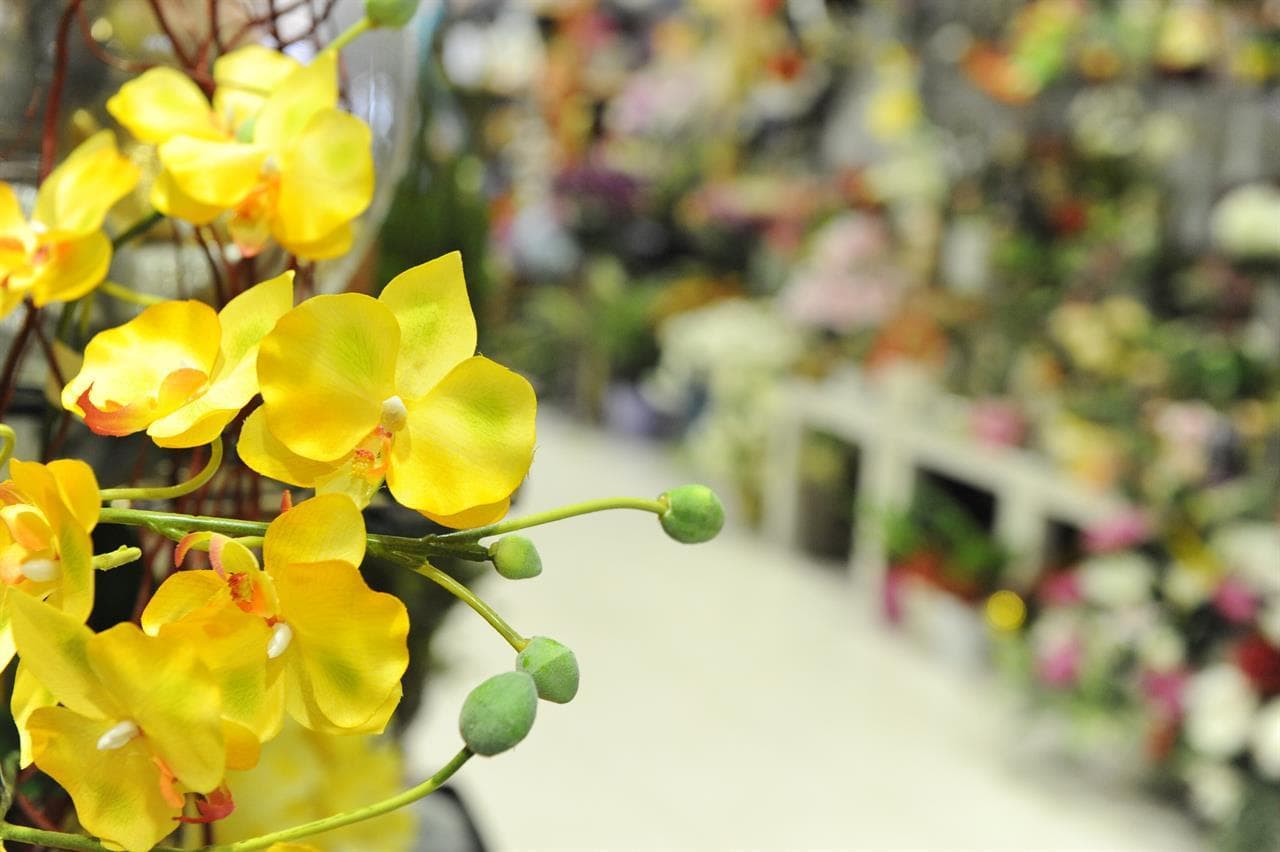 Especialistas en arreglos de flor natural en Lugo